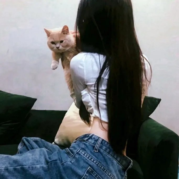 王者归来黄飞鸿